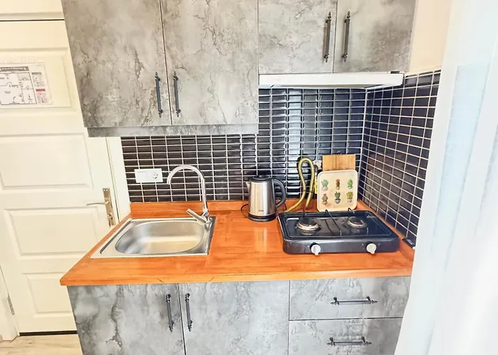 Of Near To So Many Historic Place Appartement Istanboel